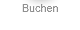 Buchen